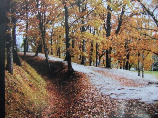 ユクエピラチャシ跡　秋の景観