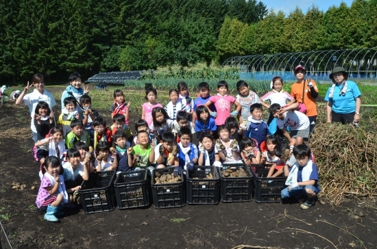 平成２８年９月７日（水）　陸小１・２年生によるジャガ芋収穫