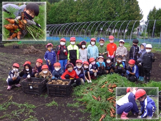 令和2年9月16日（水） 小学1・2年生じゃが芋、人参収穫体験