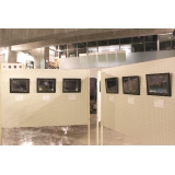 写真展の様子（一般展示）その２