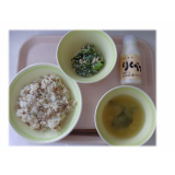 5月22日（金）　しょうが焼きごはん　小松菜とささみのマヨ和え　高野豆腐のみそ汁