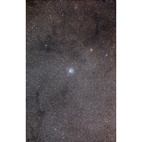 M11（散開星団）