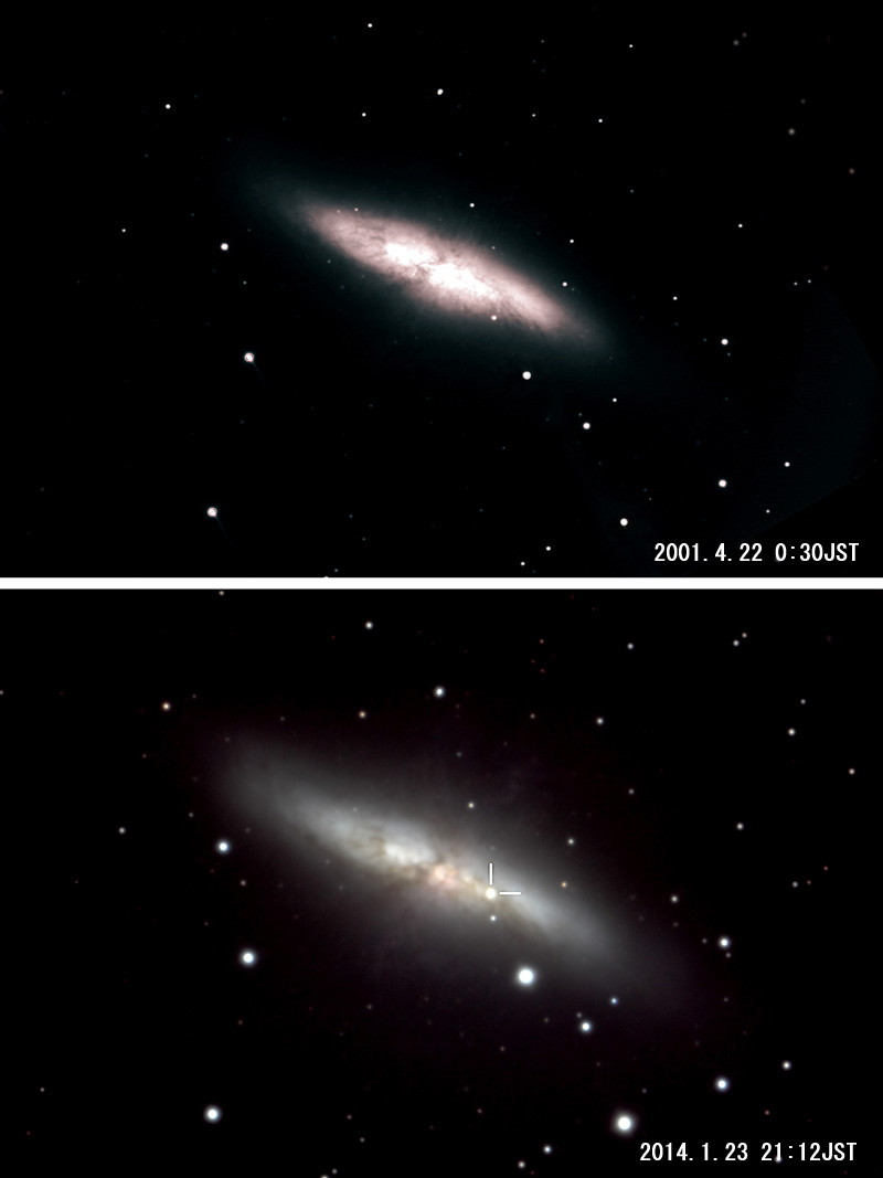 M８２銀河に出現した超新星（SN２０１４J）