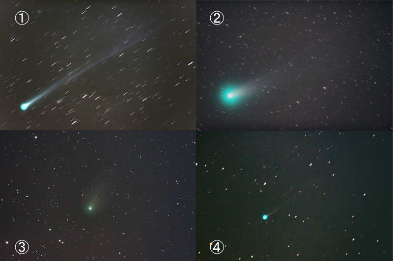四彗星（アイソン、ラブジョイ、リニア、エンケ）