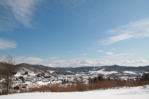 394.JPG